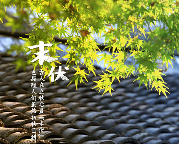 进入末伏,真正的炎热才刚刚开始
