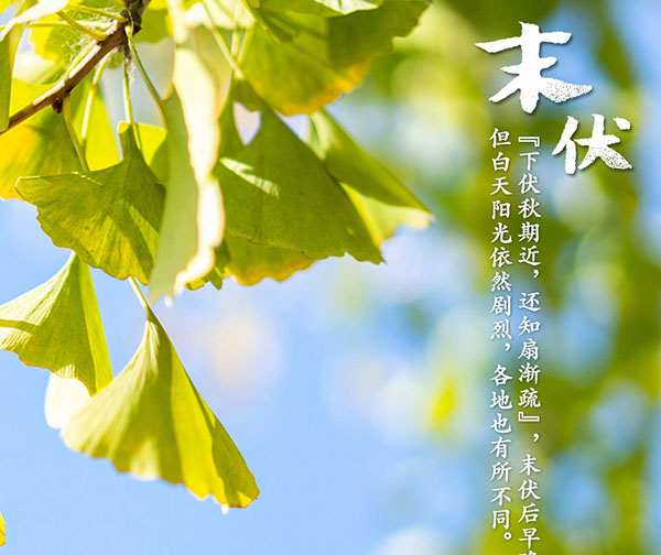 进入末伏,真正的炎热才刚刚开始