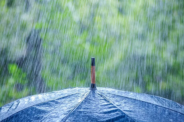 雨天路滑,出行注意安全哦
